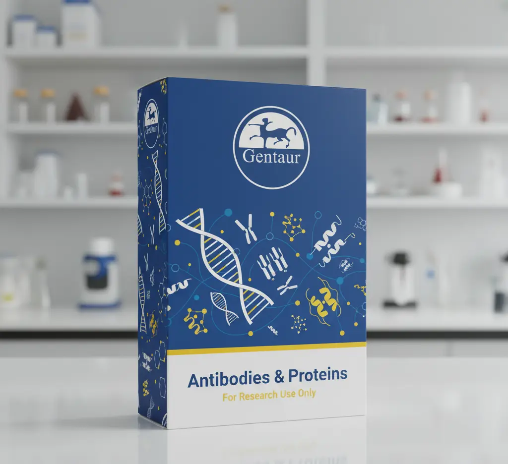 C1q Native Protein from Human Complement, 0.2mg