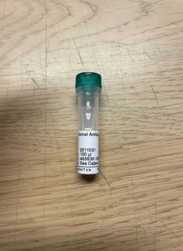 KEL Polyclonal Antibody 