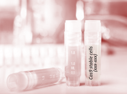Cas9 Stable Cell Line (Caco-2)