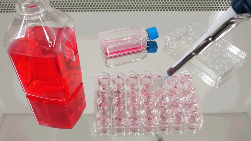 Type II Collagen Detection Kit, Multi Species, 1 Kit