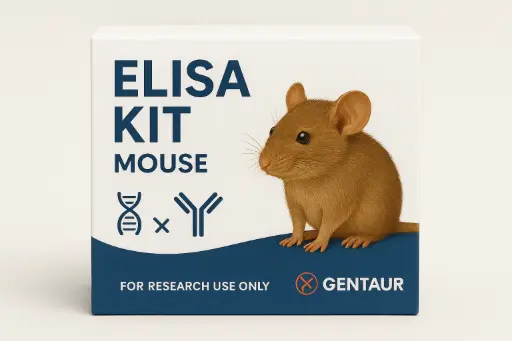 [kitsk-2984] Mouse Asb12 ELISA Kit